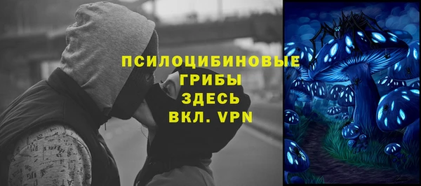 индика Абдулино