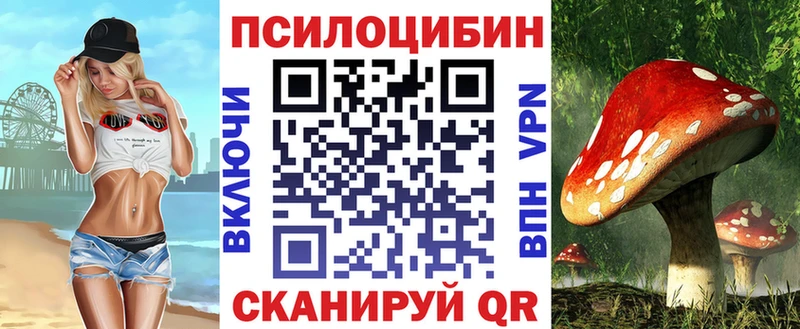 купить наркотик  Каменск-Шахтинский  Псилоцибиновые грибы прущие грибы 